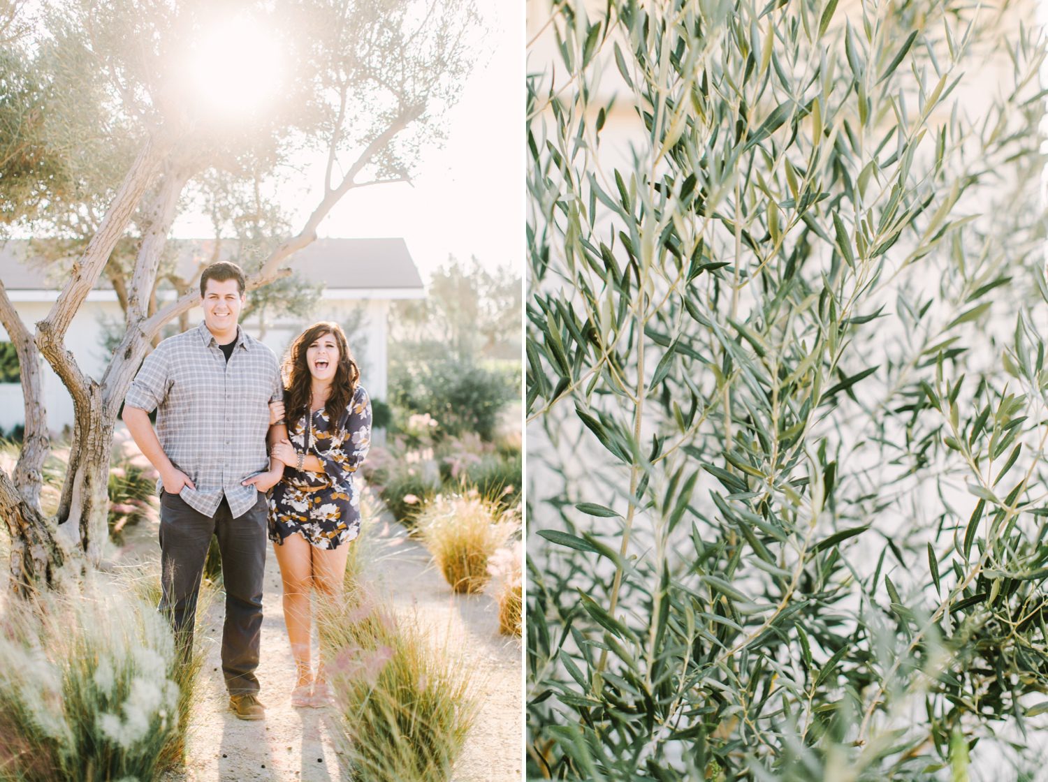 Biddle Ranch Vineyard Engagement session by Jessica Sofranko