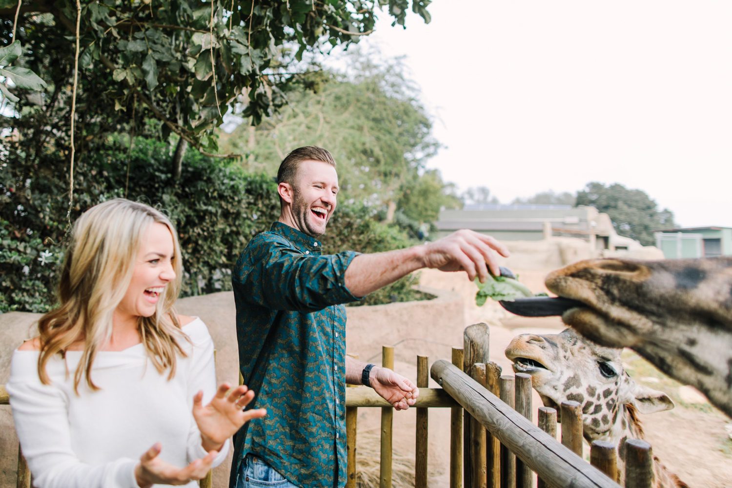 Man and Woman laughing while feeding giraffe at Santa Barbara Zoo