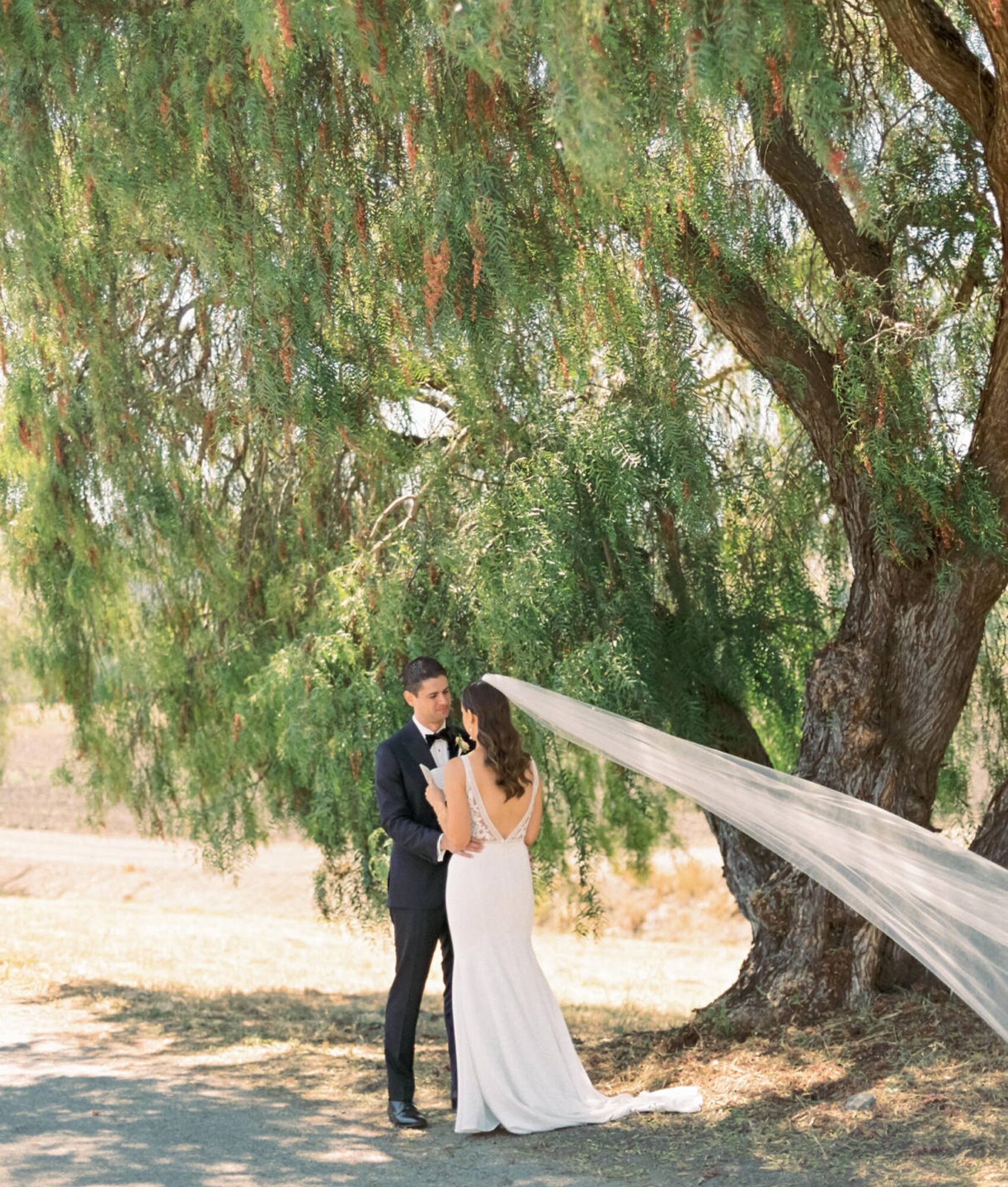 Private vow reading under a tree at the White Barn Edna Valley photographed by san luis obispo wedding photographers jessica sofranko