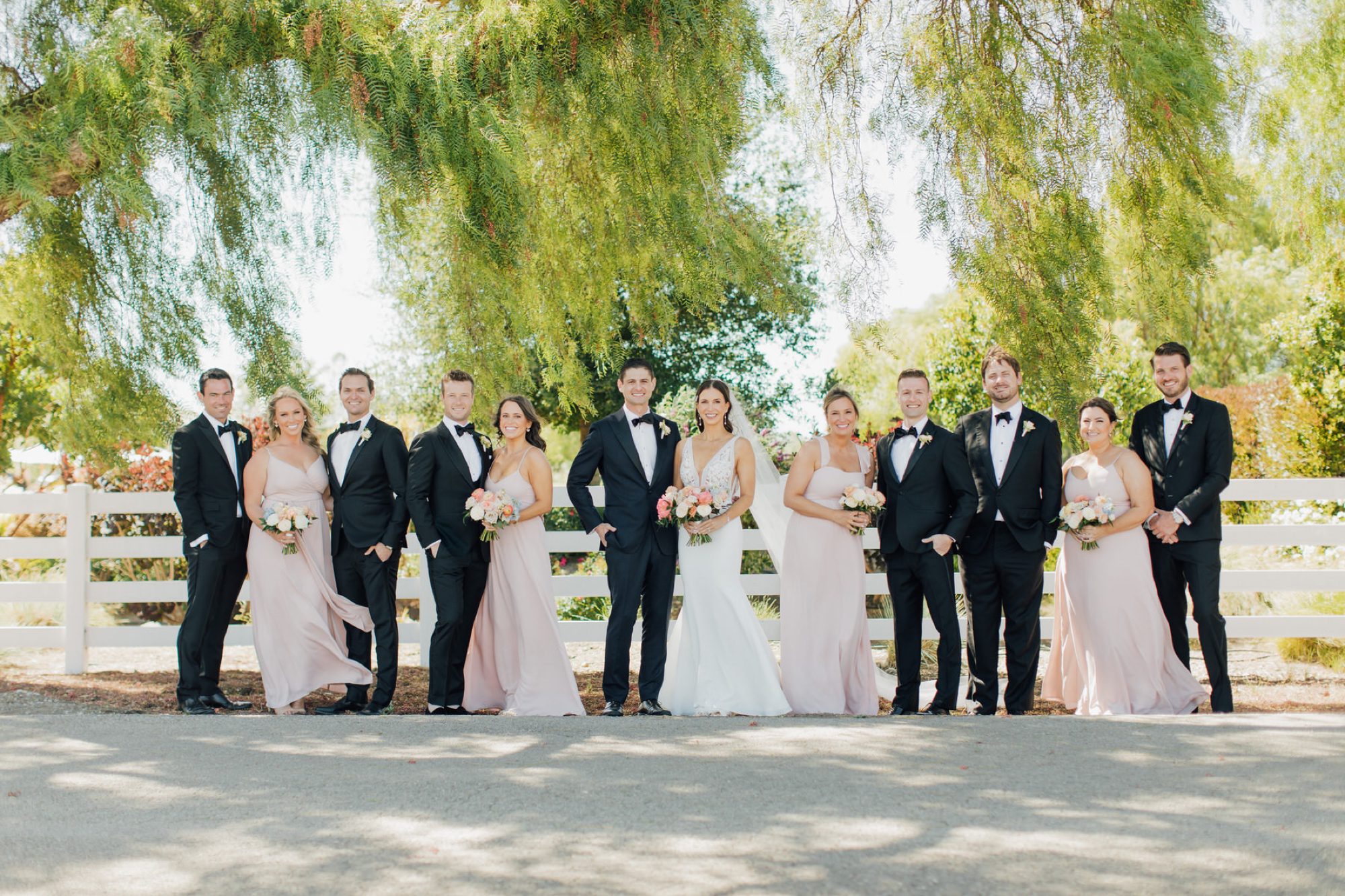 wedding party portrait at the White Barn Edna Valley photographed by san luis obispo wedding photographers jessica sofranko