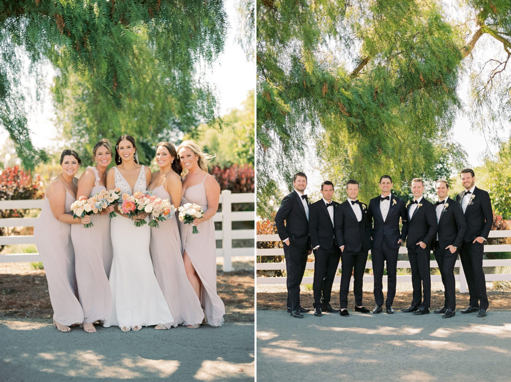 bridesmaids together and groomsmen together at the White Barn Edna Valley photographed by san luis obispo wedding photographers jessica sofranko