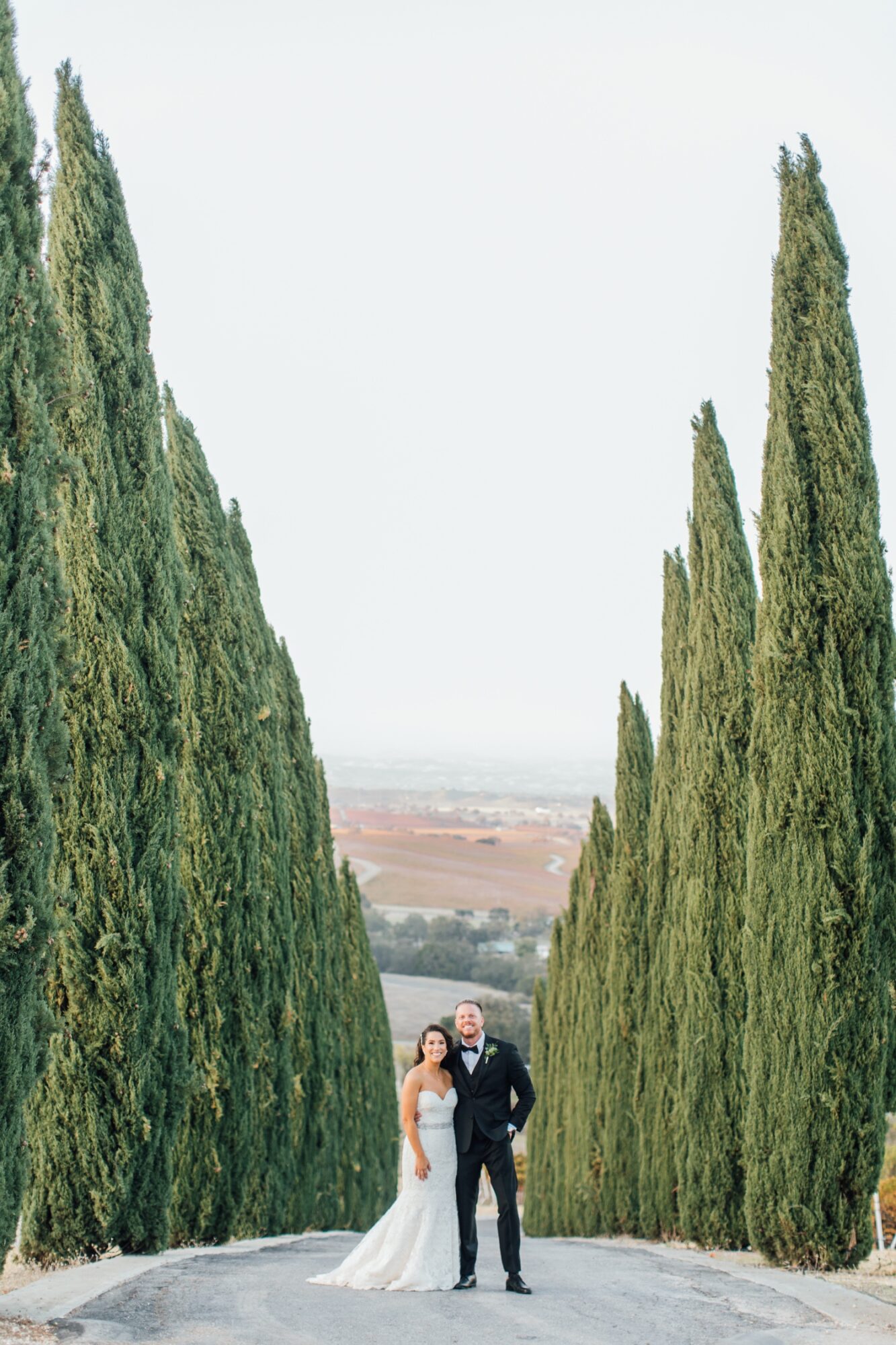 Aterno Estate's cypress tree driveway with a view in Paso Robles california wine country by photographer Jessica Sofranko