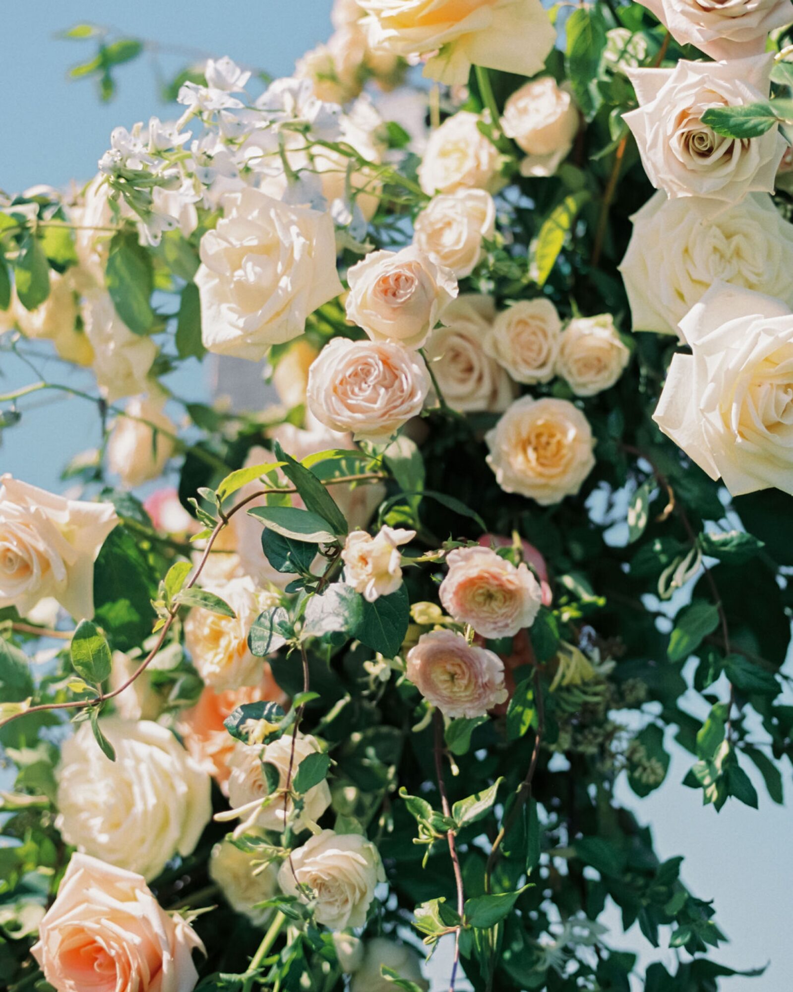 close up of ceremony arch florals by Elegant Details at at the White Barn Edna Valley photographed by san luis obispo wedding photographers jessica sofranko