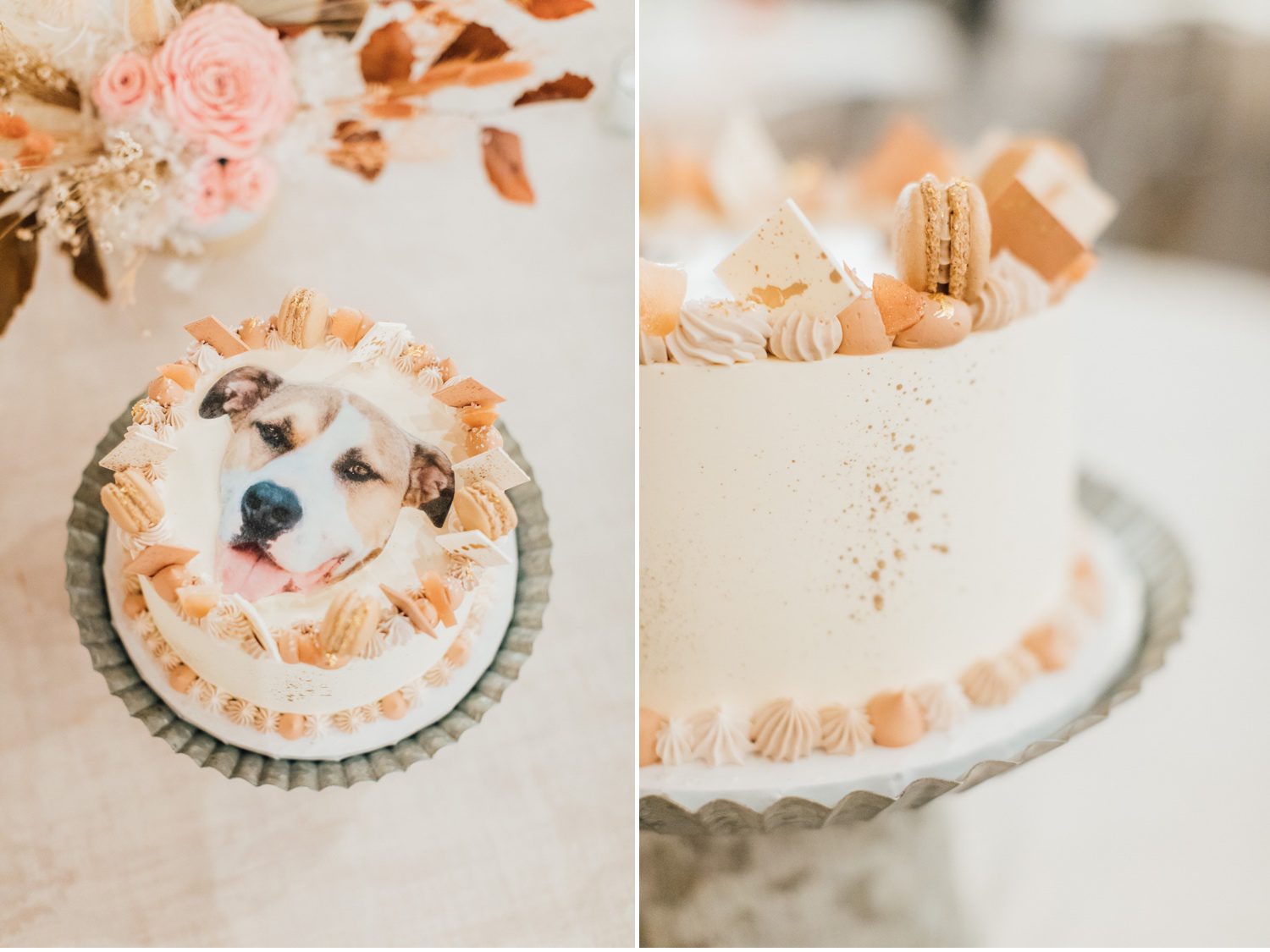 Wedding Cake with Dog topper