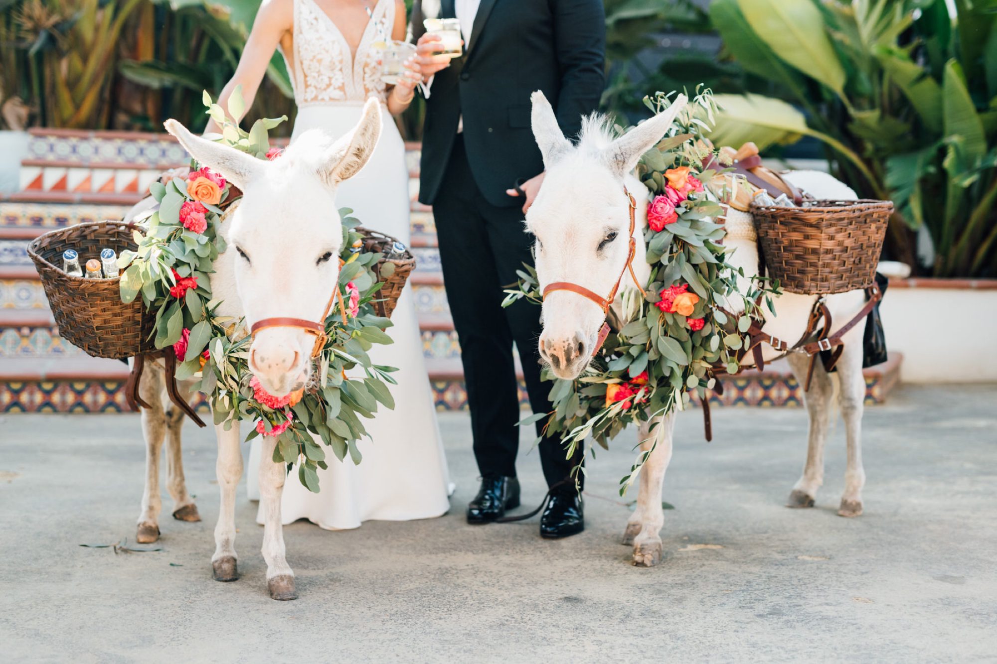 bride & groom with beer burros at mexico inspired destination wedding at La Lomita Ranch by Jessica Sofranko
