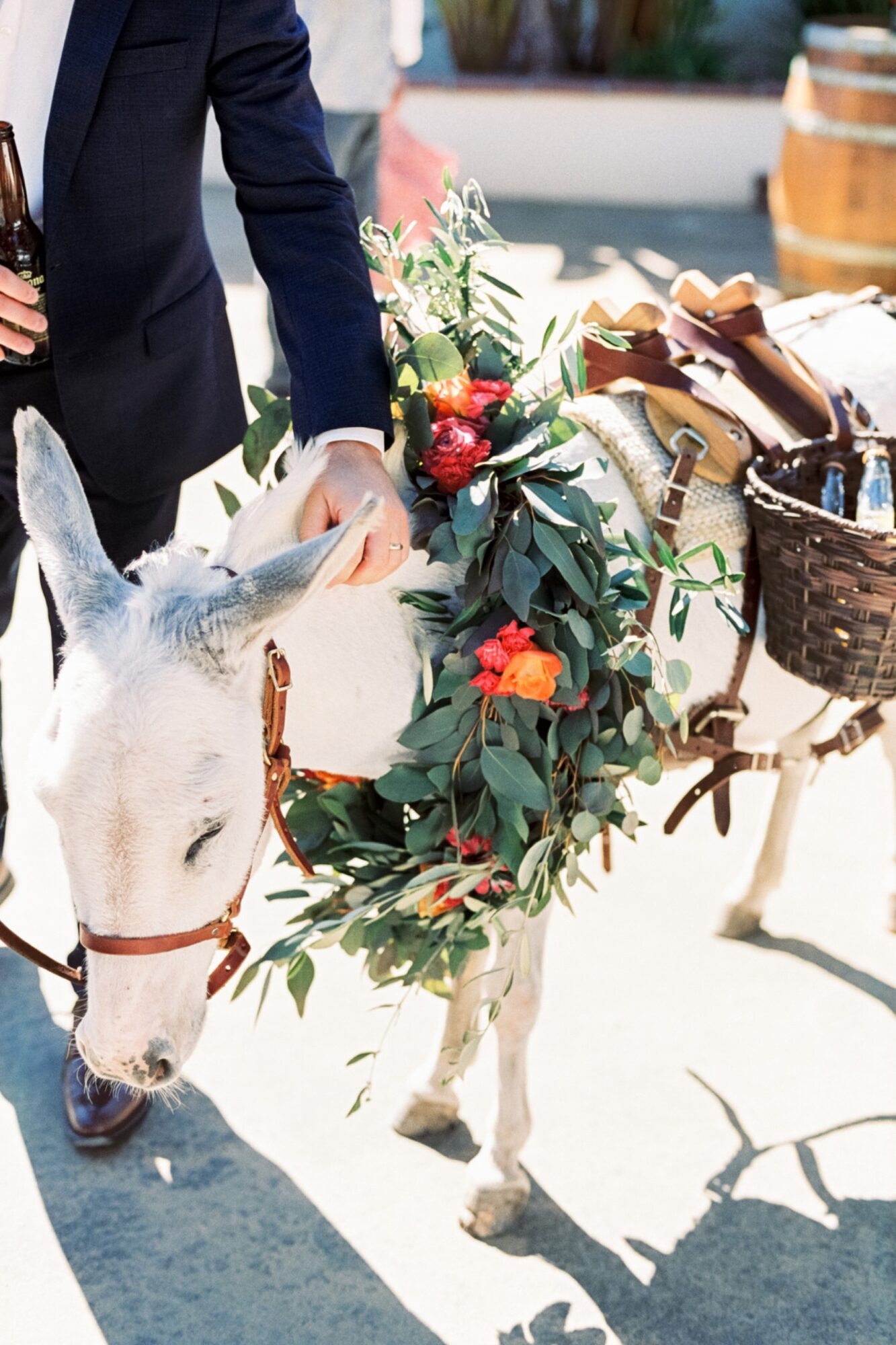 beer burros serving beer at Mexico inspired destination wedding at La Lomita Ranch in San Luis Obispo california by photographer Jessica Sofranko